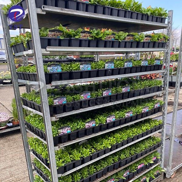Dutch Trolley For Greenhouse