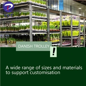 Ki sa ki Danish Trolley ak plak?