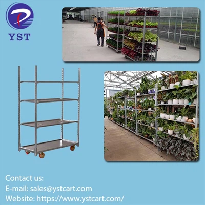 Chariot transpò plant: Yon solisyon pratik pou deplase po lou ak plant yo