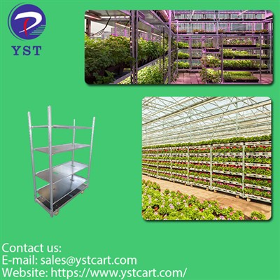 Plant Trolley: Ideyal pou pwopagasyon plant ak biznis jadinaj