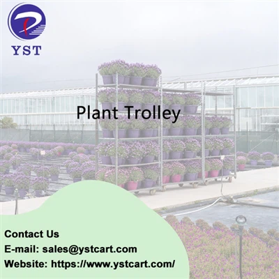Wòl chariot plant nan agrikilti modèn