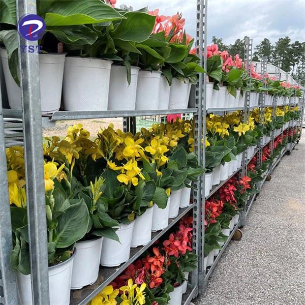 Nursery Heavy Duty Greenhouse Cart