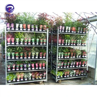 Sou entènèt jwèt Flower Steel Trolley