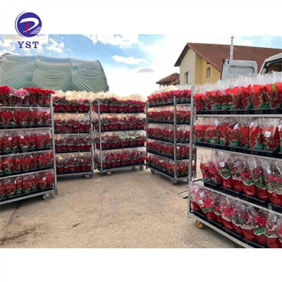 Charyo Greenhouse Pou Transpò