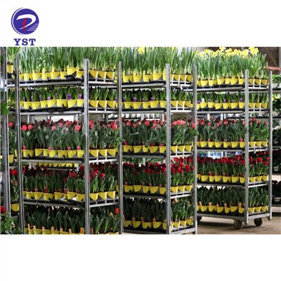 Plant transpò pepinyè etajè Trolley