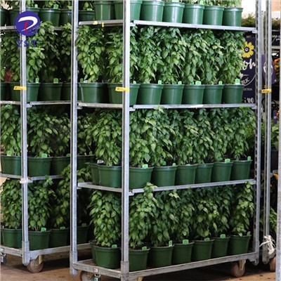 Woule Plant Trolley