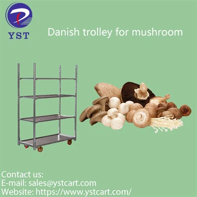 Rasyonalize pwodiksyon djondjon ak èd chariot Danwa