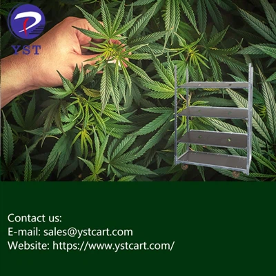 Ki jan chariot Danwa ka amelyore operasyon Cannabis Grow