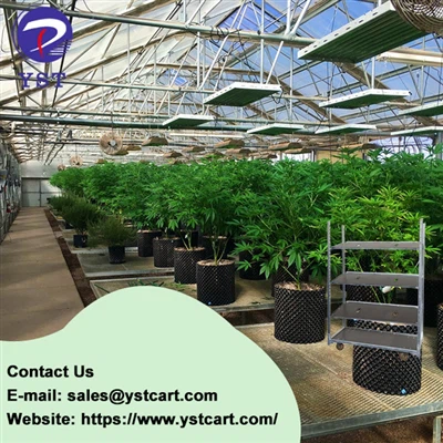 Benefis ki genyen nan itilize chariot Danwa pou pwodiksyon Cannabis efikas